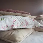 Bed & Breakfast Entre Hotes