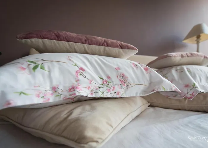 Bed & Breakfast Entre Hotes